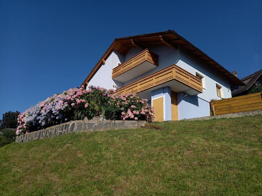 Haus Sonnenhang +Seeblick+Pool Reifnitz Exterior photo